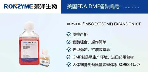 榮澤集團 市場調查成就斐然，穩健前行再譜新篇